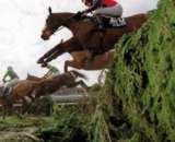 Grand National