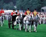 Royal Ascot