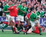 nternational Rugby at Lansdowne Road