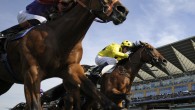 From the moment you walk through the gates of Royal Ascot, the environment oozes quality. Since the major rebuilding of the Grandstand in 2006/07, Ascot has become one of the...