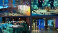 New dates recently published for our 2011 Shared Party Nights in London.  We start the shared  party season off on Friday 2nd December at Madame Tussuads and London Dungeons and...