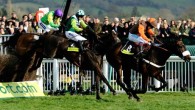 The Cheltenham Festival is probably the greatest race meeting of the year in the UK. It attracts genuine enthusiasts as well as corporate clients to see the greatest steeplechase racing...