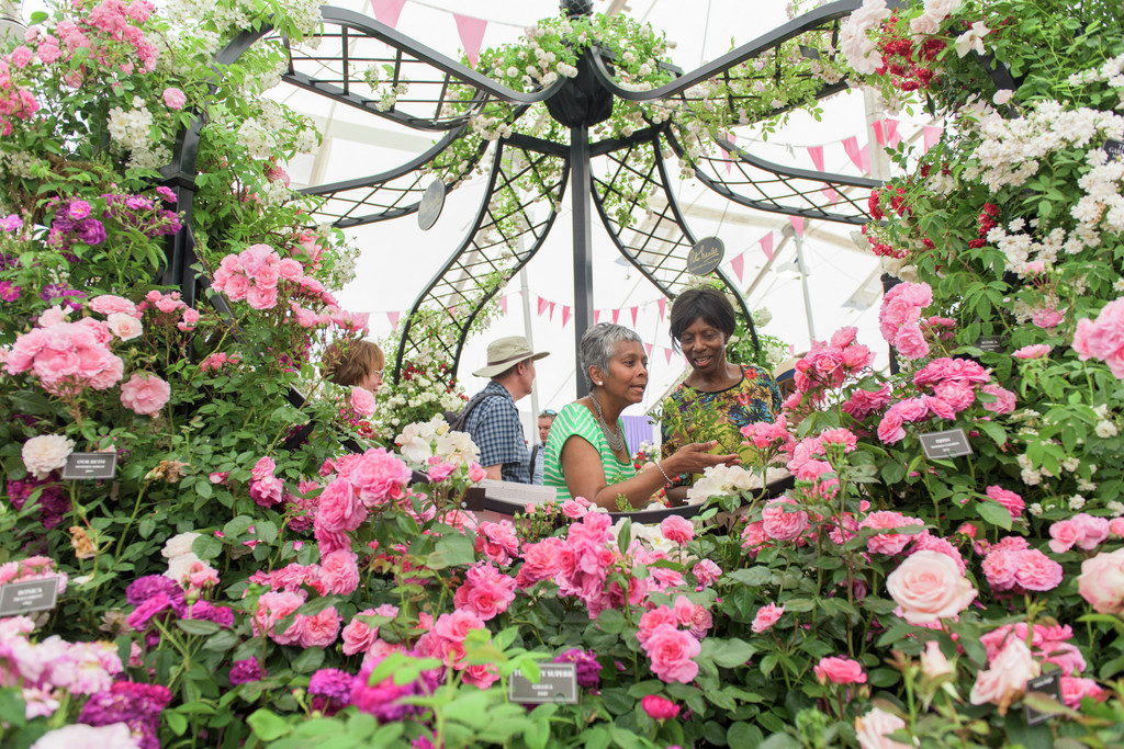 RHS Hampton Court Palace Flower Show Official Hospitality