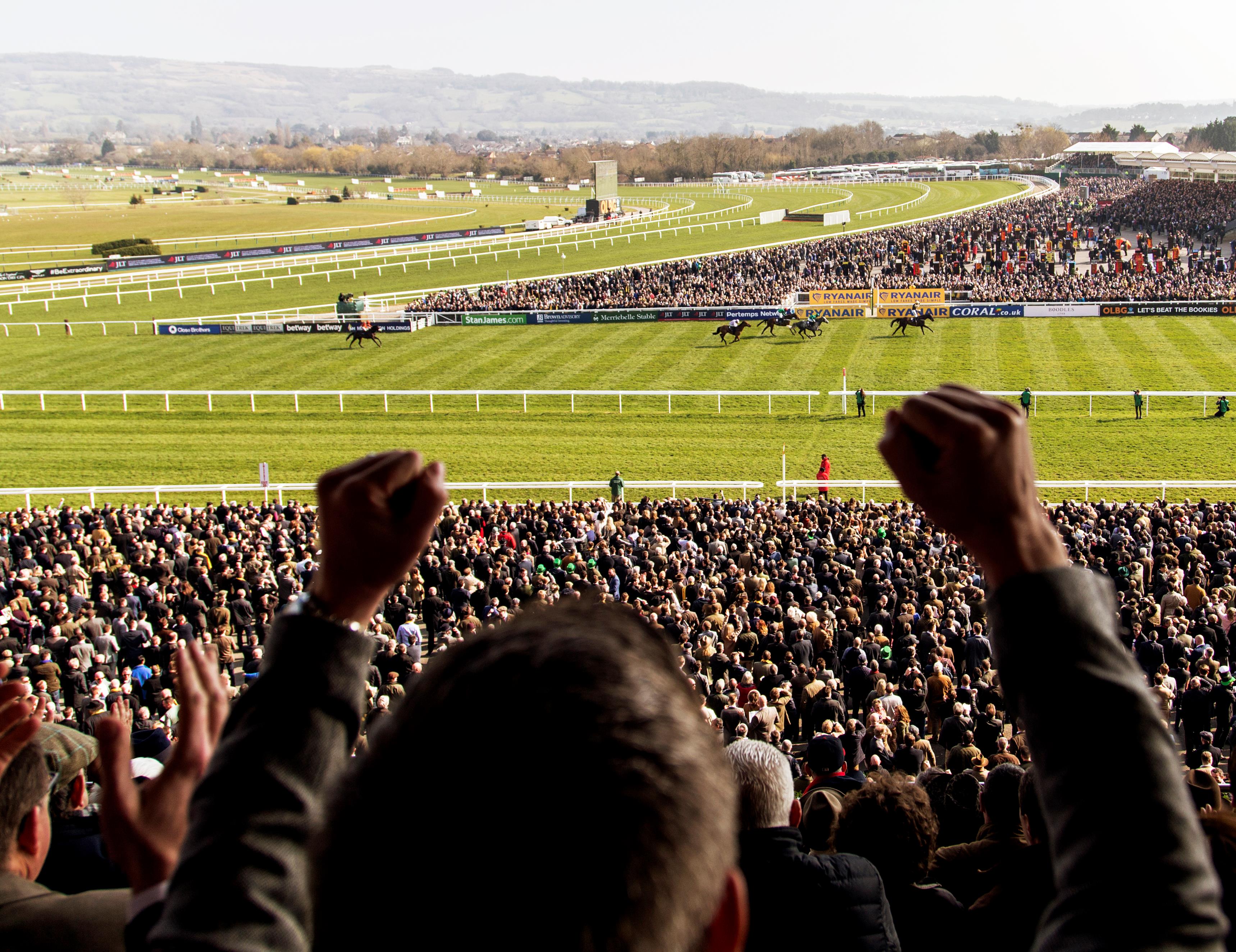 Main Grandstand hospitality available for the 2017 Cheltenham Festival!!